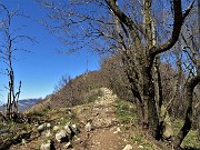 57 Raggiunto il sent. 507 salgo verso la croce del Canto Alto